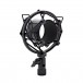 Subzero Large Diaphragm Condenser Mic