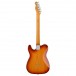 Fender Player Plus Nashville Telecaster PF, Sienna Sunburst - Back