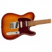 Fender Player Plus Nashville Telecaster PF, Sienna Sunburst - Body