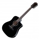 Taylor 250ce Plus 12-String, Black