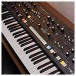 Moog Muse 8-Voice Polyphonic Analog Synthesizer - Lifestyle 5