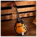 Electro Acoustic Mandolin by Gear4music, Sunburst