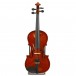 Stentor Student Standard Violin Outfit 1/10 - Secondhand