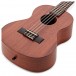 Kala Makala 8-String Tenor Ukulele, Satin