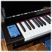 G4M Sonori High Top Digital Piano, Gloss Black