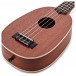 Kala KA-P Mahogany Pineapple Ukulele, Satin