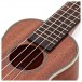 Kala KA-SLNG Mahogany Soprano Long Neck Ukulele, Gloss