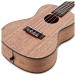 Kala KA-PWC Pacific Walnut Concert Ukulele, Satin