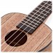 Kala KA-PWC Pacific Walnut Concert Ukulele, Satin