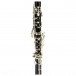 Buffet R13 Professional Bb Clarinet Outfit - Secondhand