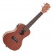 Kala KA-CE Mahogany Electro-Acoustic Concert Ukulele, Satin