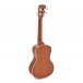 Kala KA-CE Mahogany Electro-Acoustic Concert Ukulele, Satin