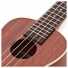 Kala KA-CE Mahogany Electro-Acoustic Concert Ukulele, Satin