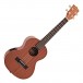 Kala Makala MK-TE Electro-Acoustic Tenor Ukulele, Satin