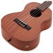 Kala Makala MK-TE Electro-Acoustic Tenor Ukulele, Satin