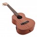 Kala Makala MK-TE Electro-Acoustic Tenor Ukulele, Satin