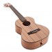 Kala KA-PWT Pacific Walnut Tenor Ukulele, Satin