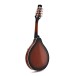 Mandolin Pack by Gear4music, Vintage Sunburst