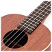 Kala KA-TE Mahogany Electro-Acoustic Tenor Ukulele, Satin