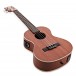 Kala KA-TE Mahogany Electro-Acoustic Tenor Ukulele, Satin