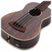 Kala Fretless U-Bass Electro-Acoustic Ukulele, Striped Ebony