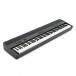 Roland FP-90X Digital Piano, Black