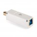 iFi Audio iPurifier3 USB-B Audio and Power Filter - Angled