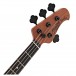 Sterling DarkRay Bass, Black