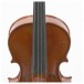 Stentor Conservatoire Violin Outfit, 1/2 - Secondhand