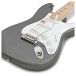 Fender Eric Clapton Stratocaster, Pewter close