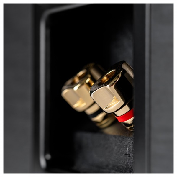 Elac Debut Db63 ELAC Debut DC63-BK (Black Ash) Crisp