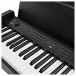 Korg C1 Air Digital Piano, Black Wood Grain