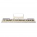 SDP-2 Stage Piano by Gear4music, White - Secondhand