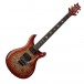 PRS SE Custom Floyd, Charcoal Cherry Burst - Front