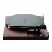 Pro-Ject Debut Evo 2 Turntable, Wine Red Satin Side View