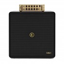 Eden NovaTone 300 2x10" Bass Amplifier