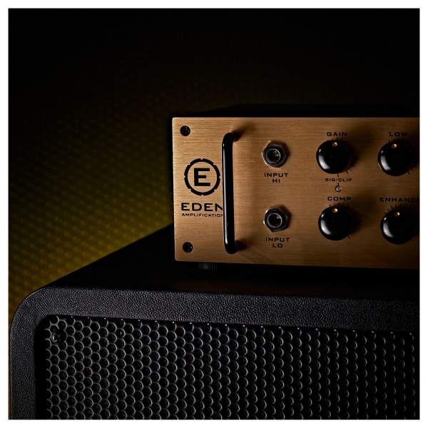 Eden NovaTone 300 2x10" Bass Amplifier