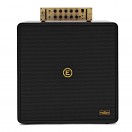 Eden NovaTone 500 2x12" Bass Amplifier