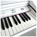 GDP-200 Digital Grand Piano by Gear4music, Gloss White