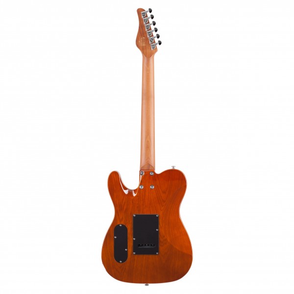 Schecter PT Van Nuys, Gloss Nat Ash BAck