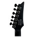 Ibanez RGRTBB21, Black Flat