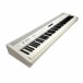 Roland FP-60X Digital Piano, White