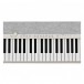 Casio CT-S1 76 Key Portable Keyboard, White - keys