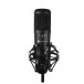 Imperative Audio Lucent Multi-Pattern Condenser Mic