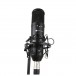 Imperative Audio Lucent Multi-Pattern Condenser Mic