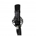 LA1005 Condenser Microphone by Lambden Audio