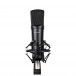 LA1005 Condenser Microphone by Lambden Audio