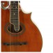 Barnes & Mullins Piercy Mandolin - Secondhand