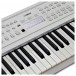 Yamaha EZ310 61 Key Lighting Keyboard Pack