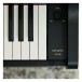 Casio AP-300 Digital Piano, Black - keys close up